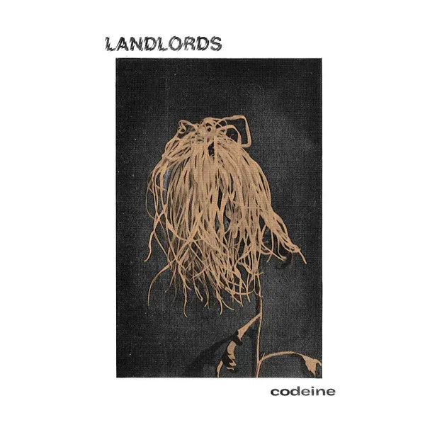 Landlords Codeine 12" EP klar vinyl shoegaze brukt