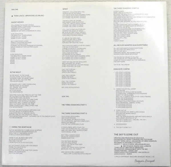 Bauhaus The Sky's Gone Out LP brukt goth rock