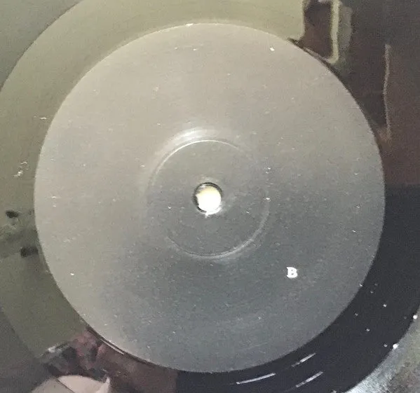 Joe Volk Naiare Primitive Energetics LP brukt