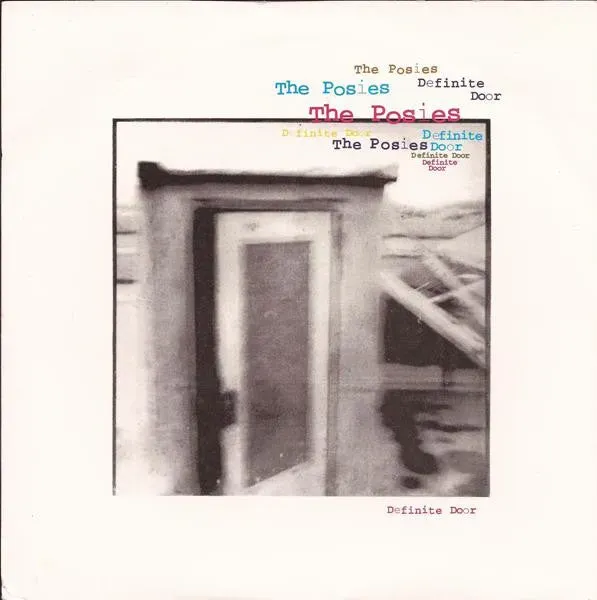 The Posies Definite Door 7" vinyl brukt