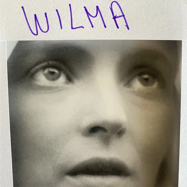 Daniele Luppi Wilma digitalt album soul