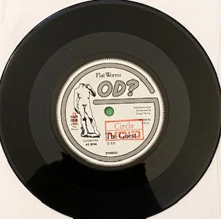 Flat Worms The Guest 7" vinylsingel brukt