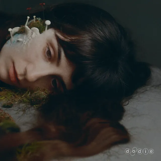 dodie Not For Lack Of Trying digital album