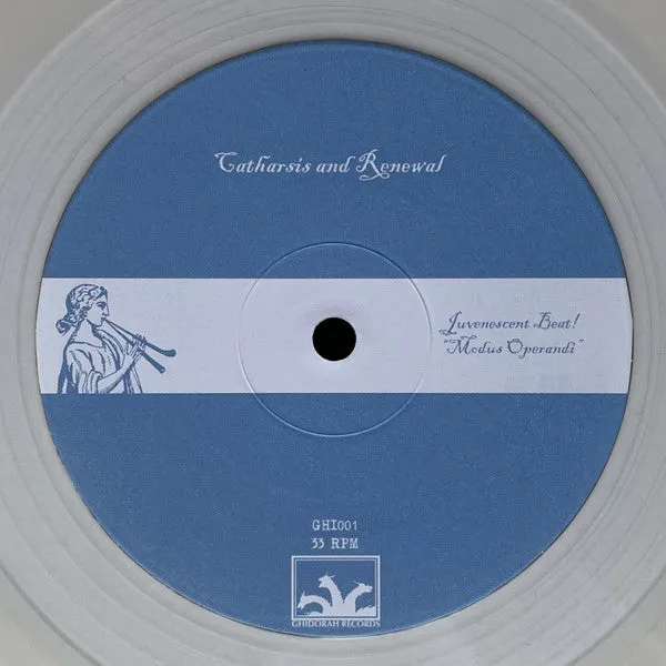 Juvenescent Beat Fall Through Roof 12" vinyl klar brukt
