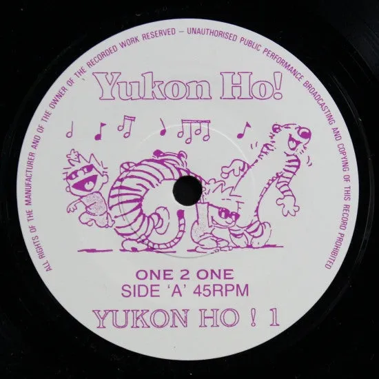 One 2 One Fight Goes On 7" vinyl singel brukt hardcore punk