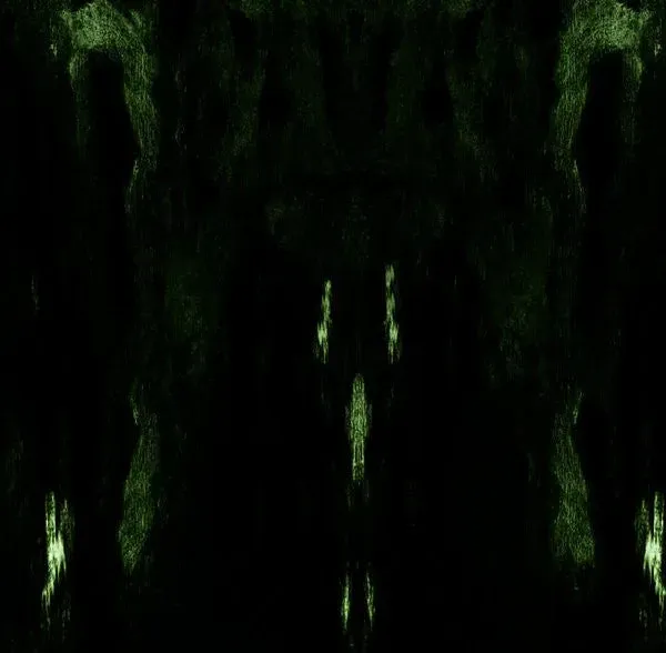 Impetuous Ritual Unholy Congregation CD death metal slipcase