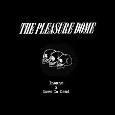 Pleasure Dome Insane 7" single vinyl brukt post-punk