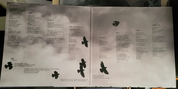 Johnny The Boy You LP brukt sort vinyl