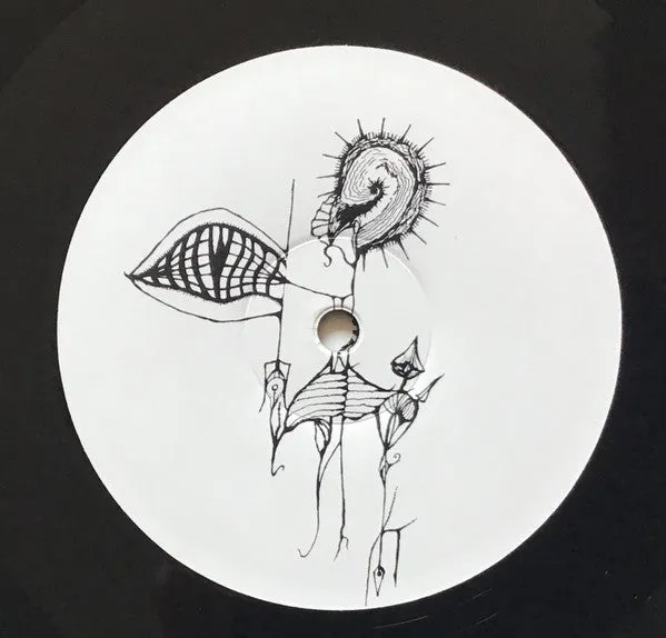 Joe Volk Naiare Primitive Energetics LP brukt