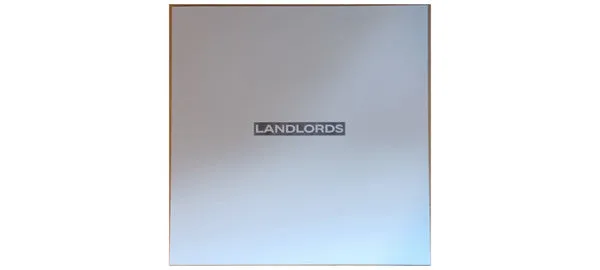 Landlords Codeine 12" EP klar vinyl shoegaze brukt