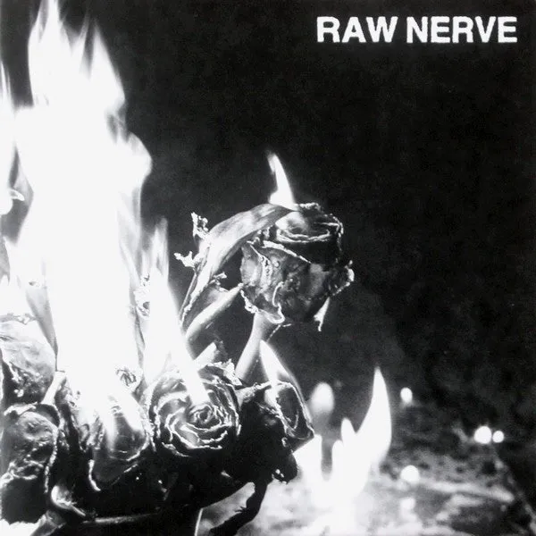 Raw Nerve Every Problem Solved 7" vinyl hvit brukt